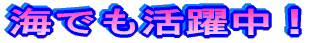 �C�ł��������I